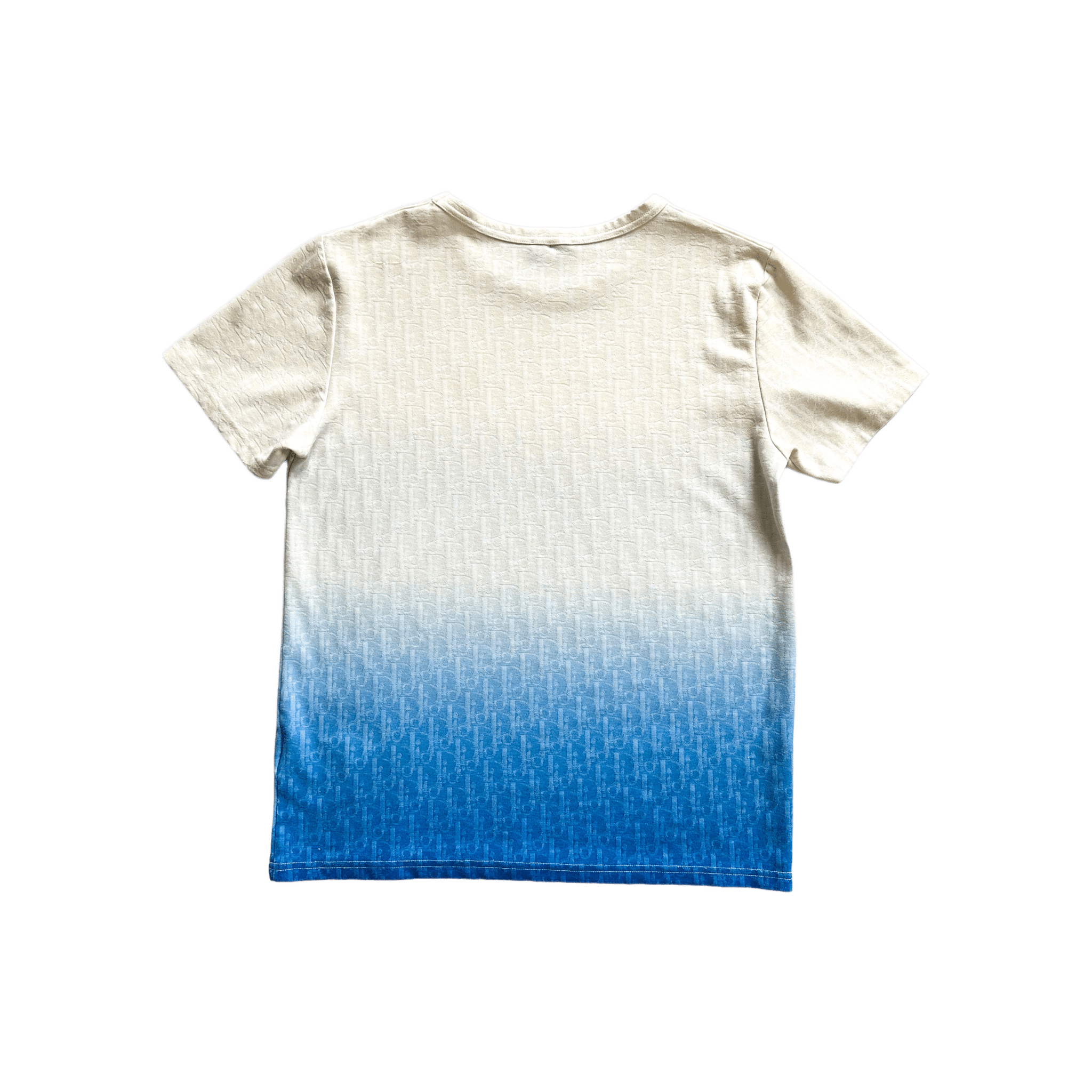 Dior Blue & White Gradient Oblique T-Shirt - Morely TrendsDior Type here:)