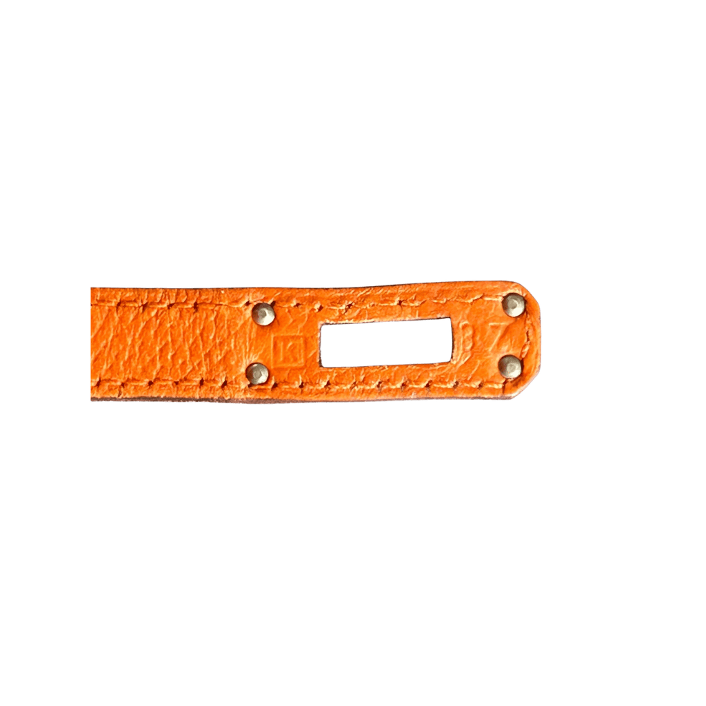 Hermes Orange Epsom & Palladium Hardware Birkin 25 - Morely TrendsHermes Type here:)